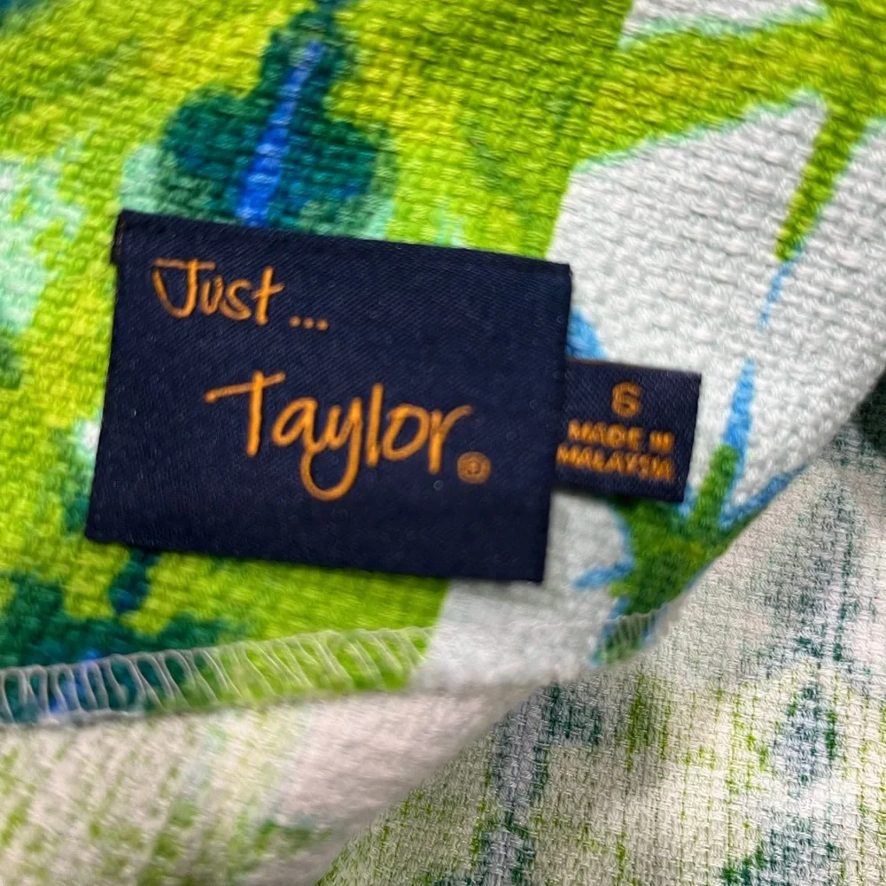 Just...Taylor Vibrant Green and Blue Mini Dress - Picture 5 of 5
